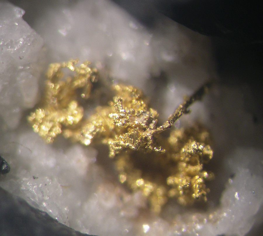 Gold & Ferberite