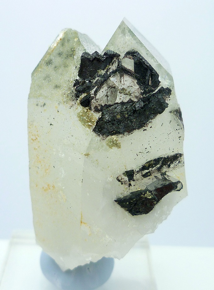 Chlorite In Quartz With Wolframite