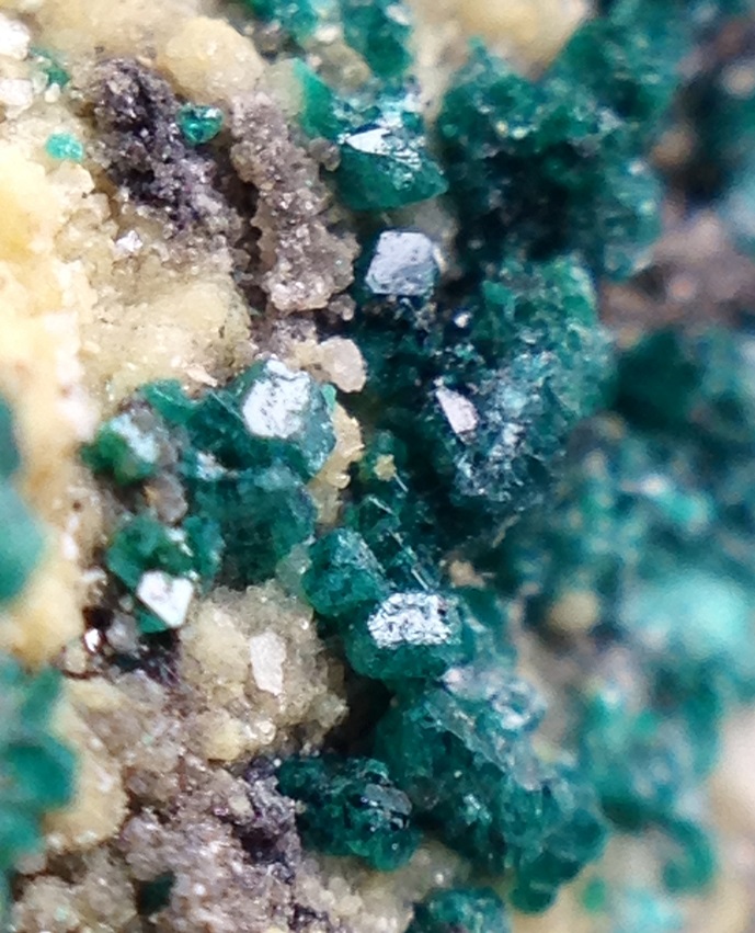 Zincian Paratacamite