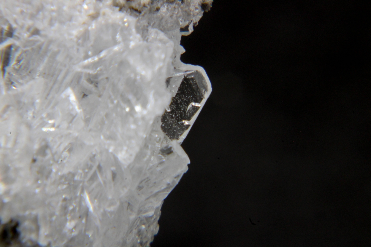 Gypsum