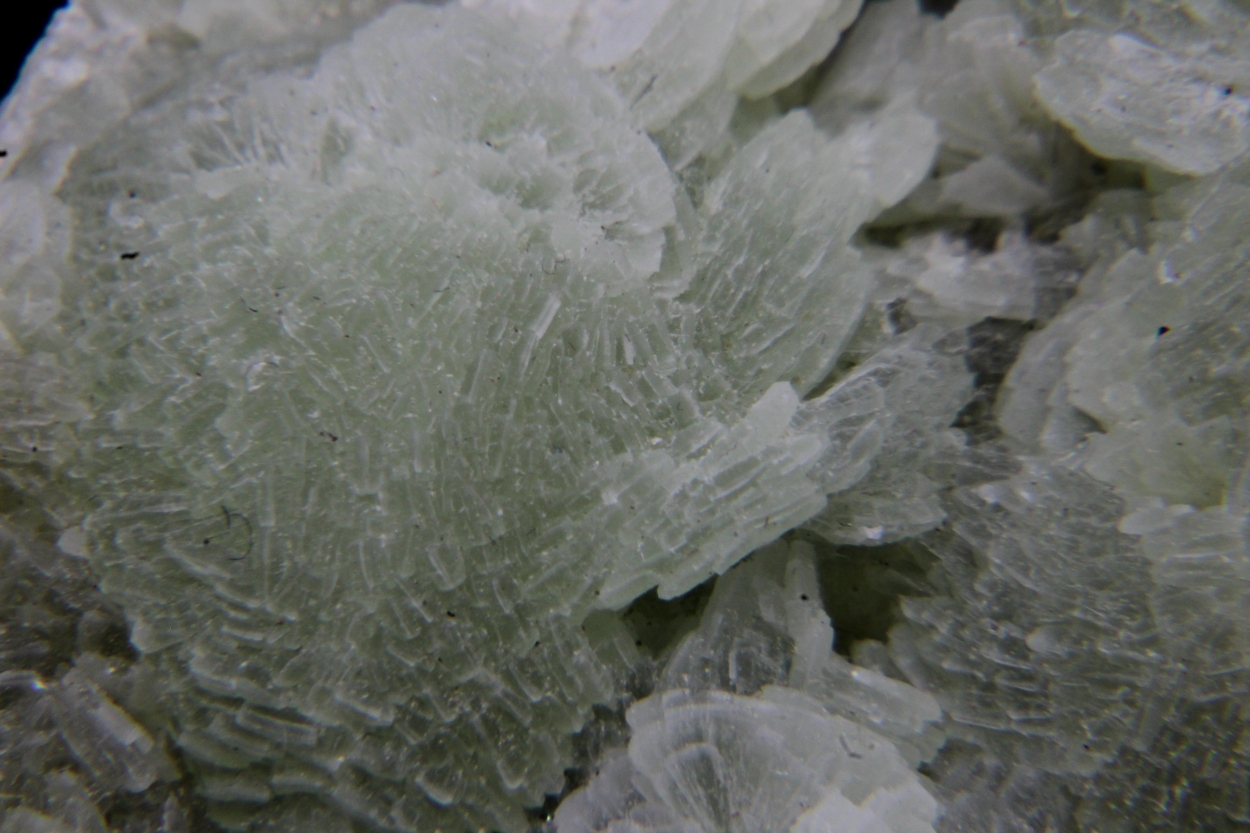 Prehnite