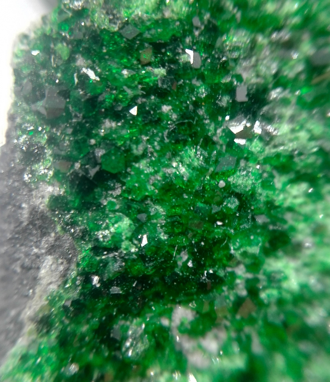 Uvarovite