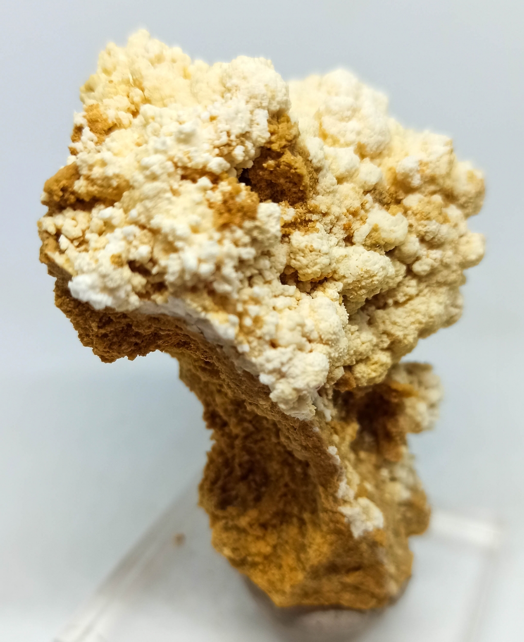 Aragonite