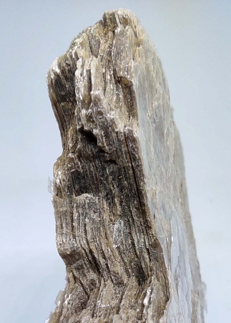 Muscovite