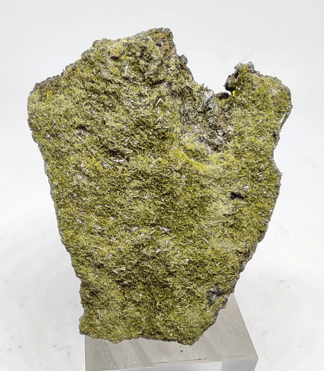 Epidote & Pyrite