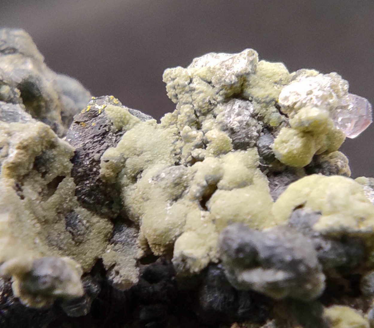 Chalcopyrite Arsenopyrite Siderite Muscovite