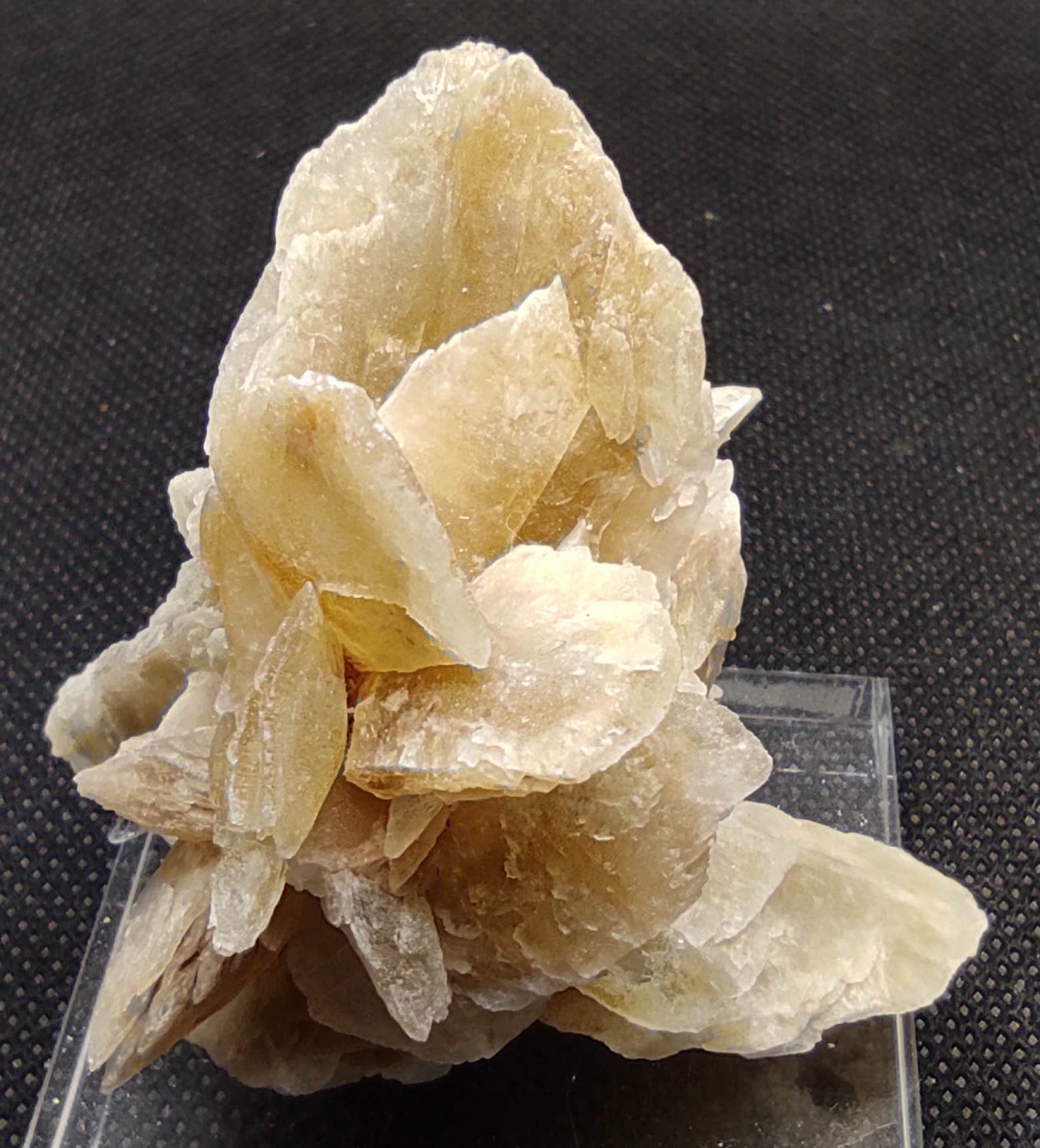 Gypsum