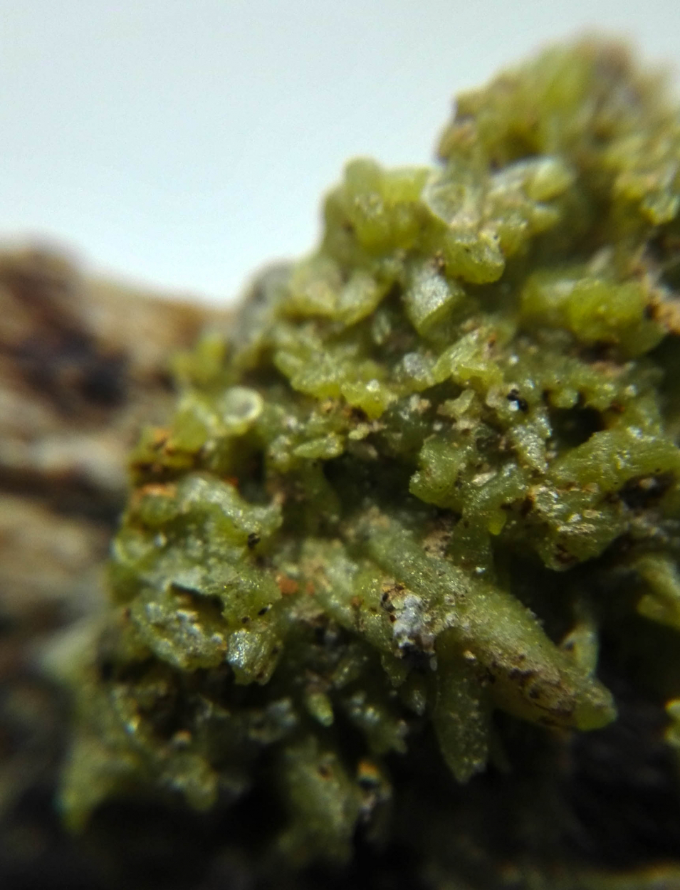 Pyromorphite