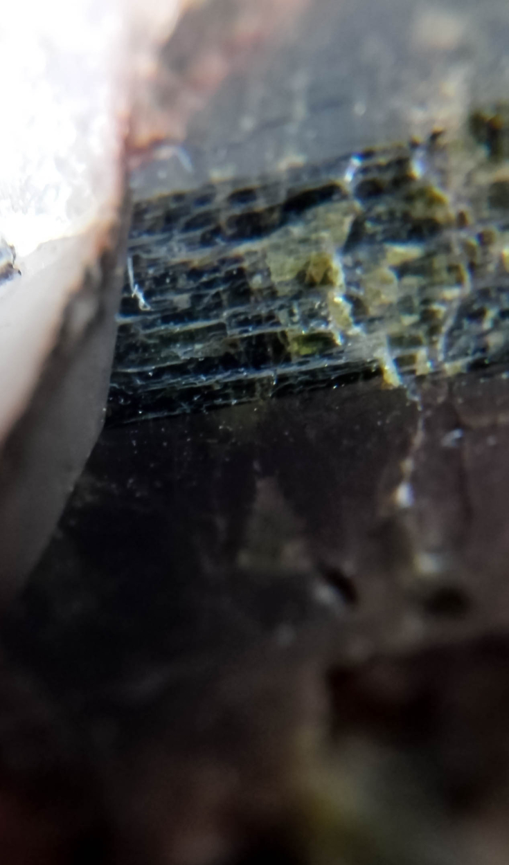 Epidote