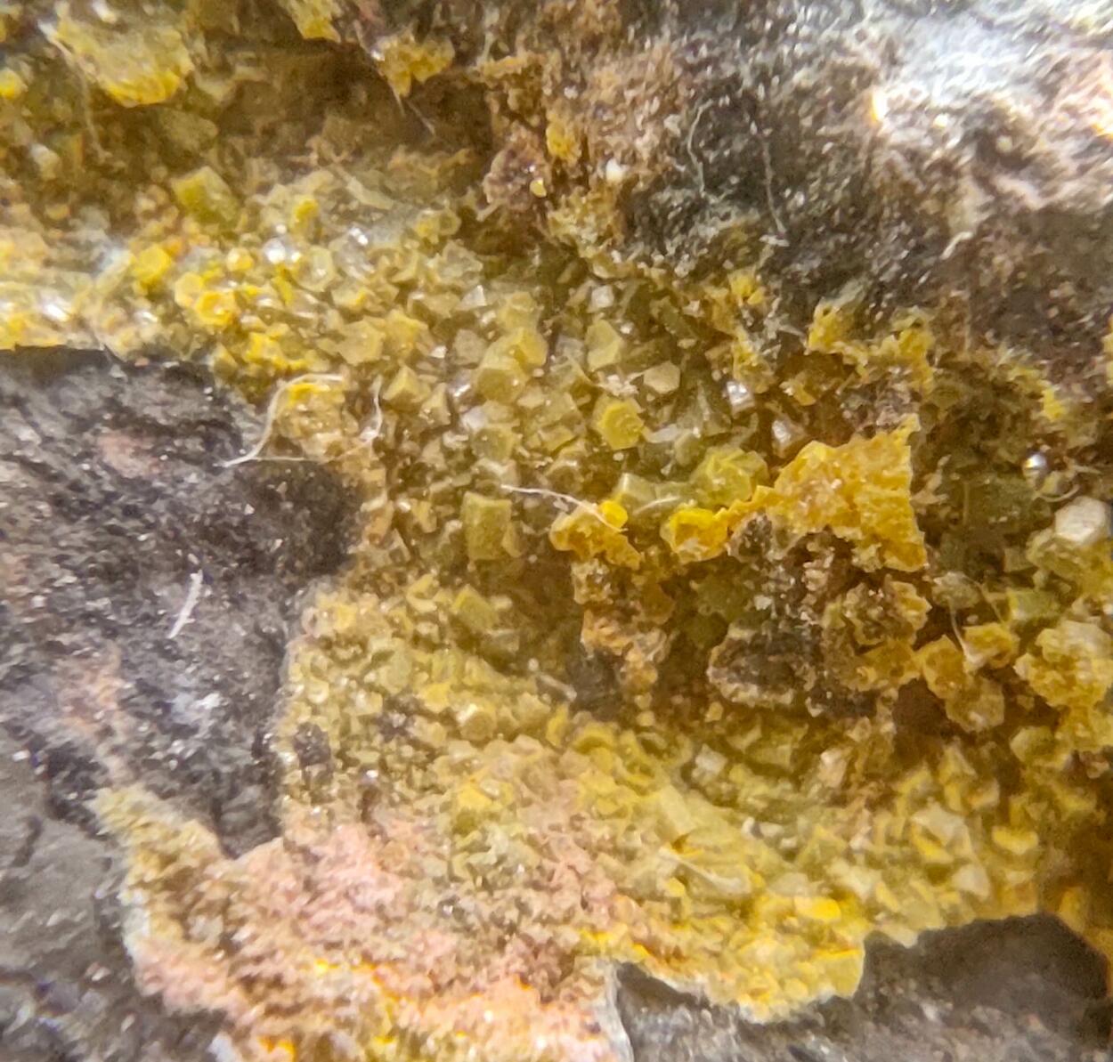 Campylite & Mimetite