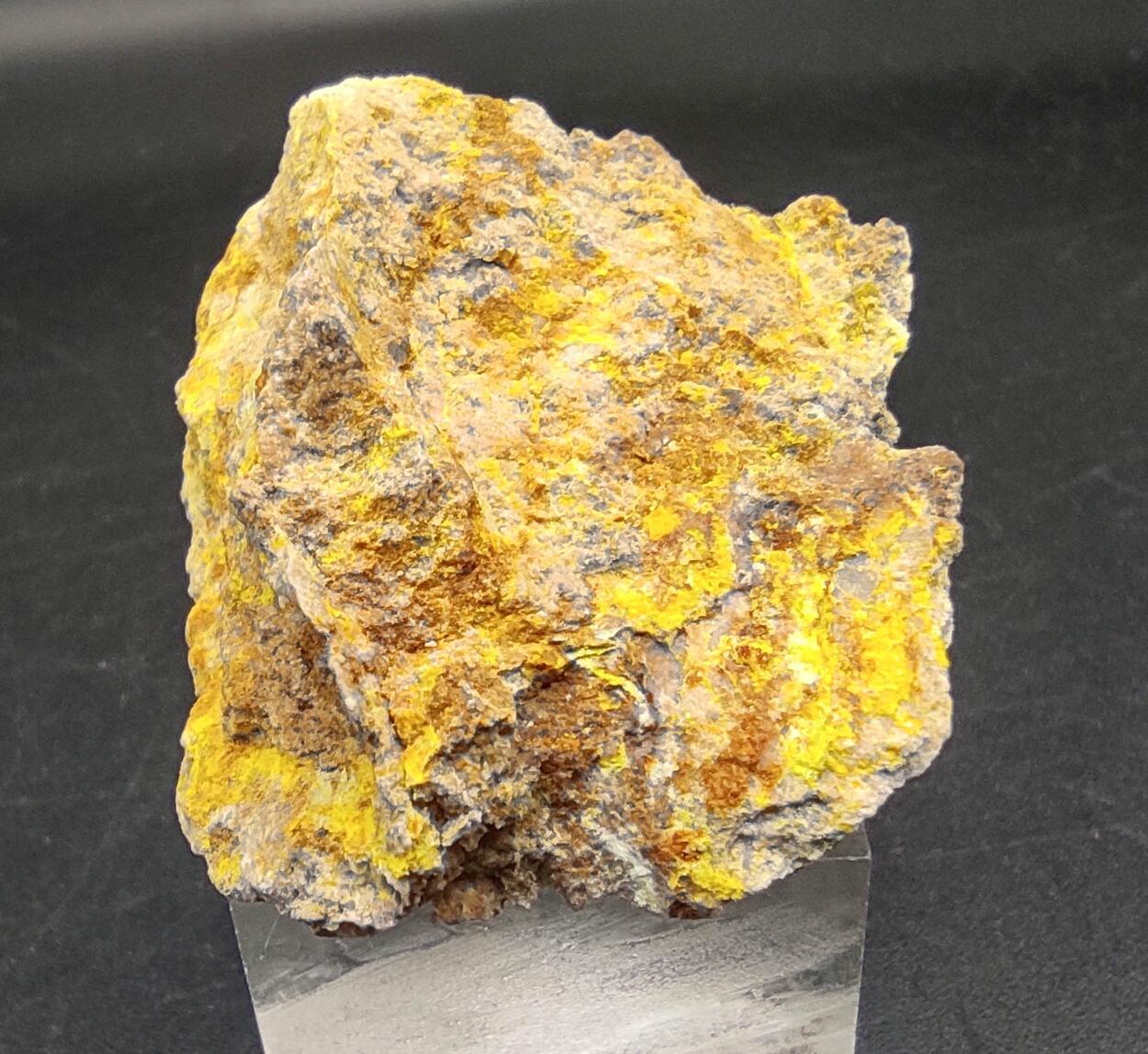 Dewindtite