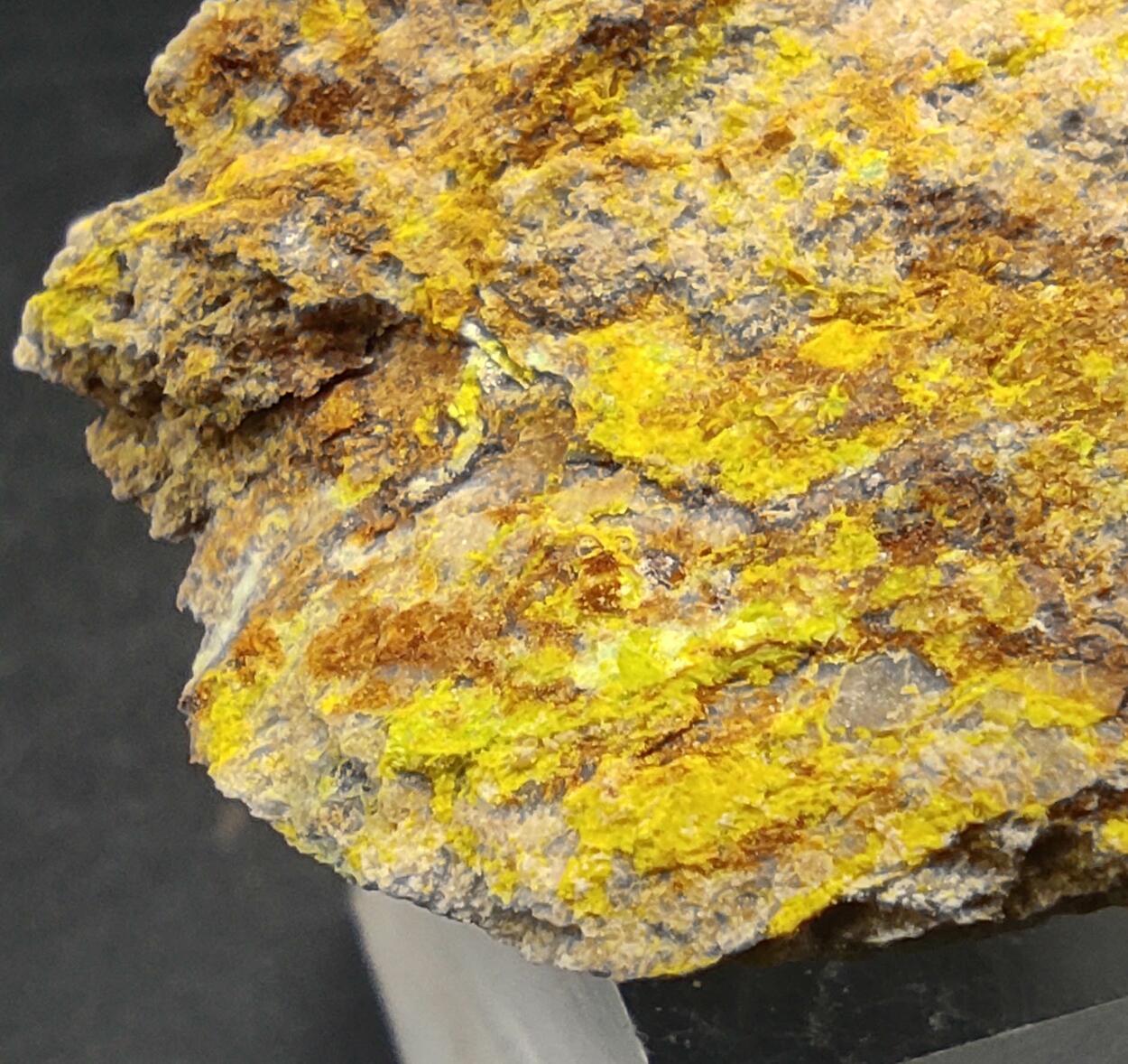 Dewindtite
