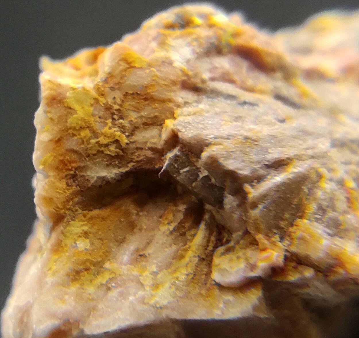 Uranocircite