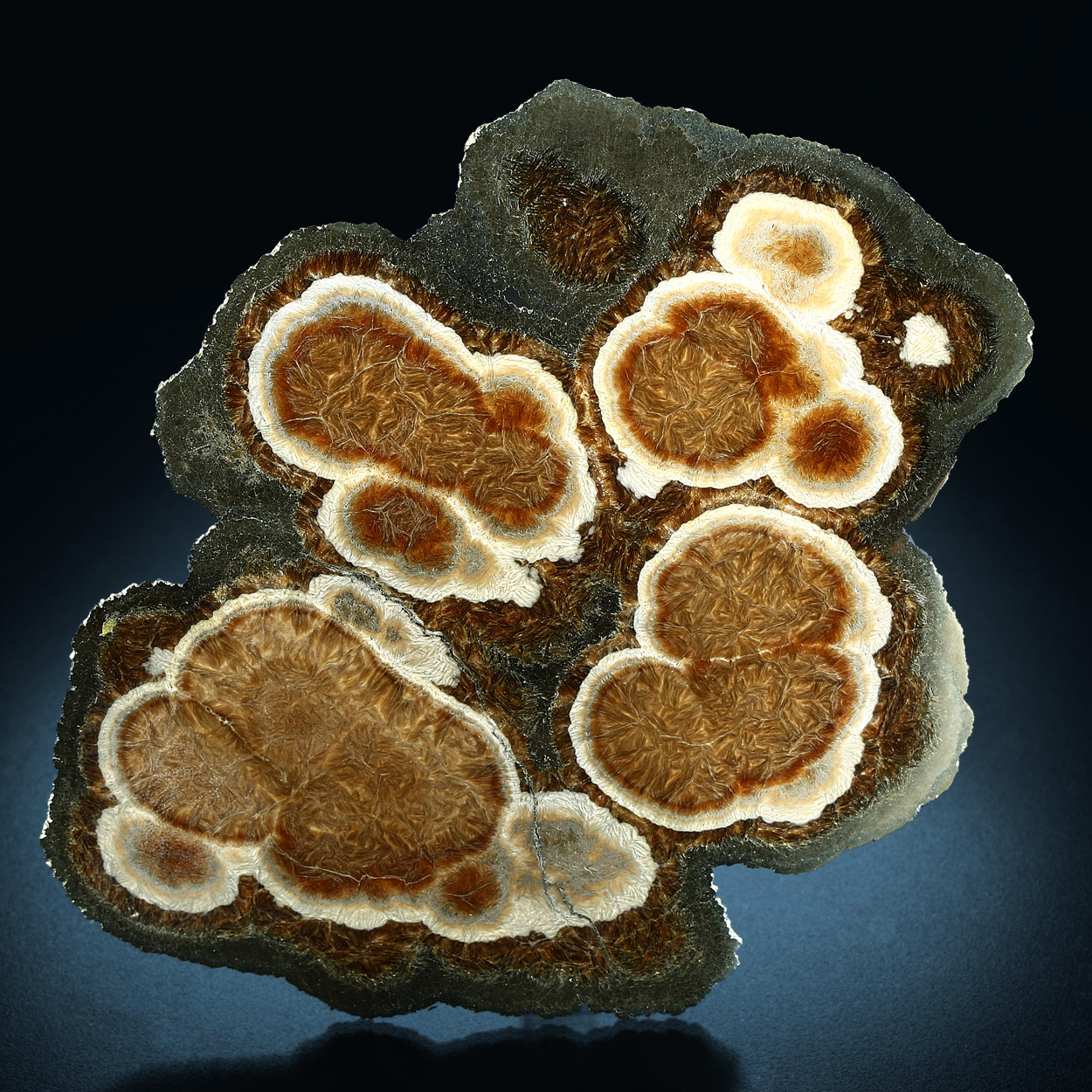 Baryte With Marcasite