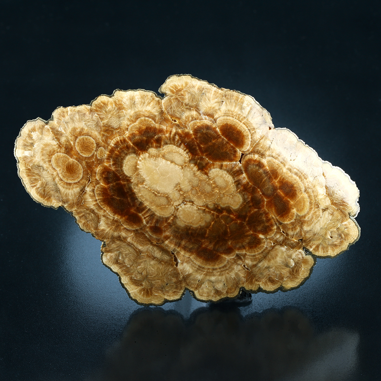 Baryte With Marcasite