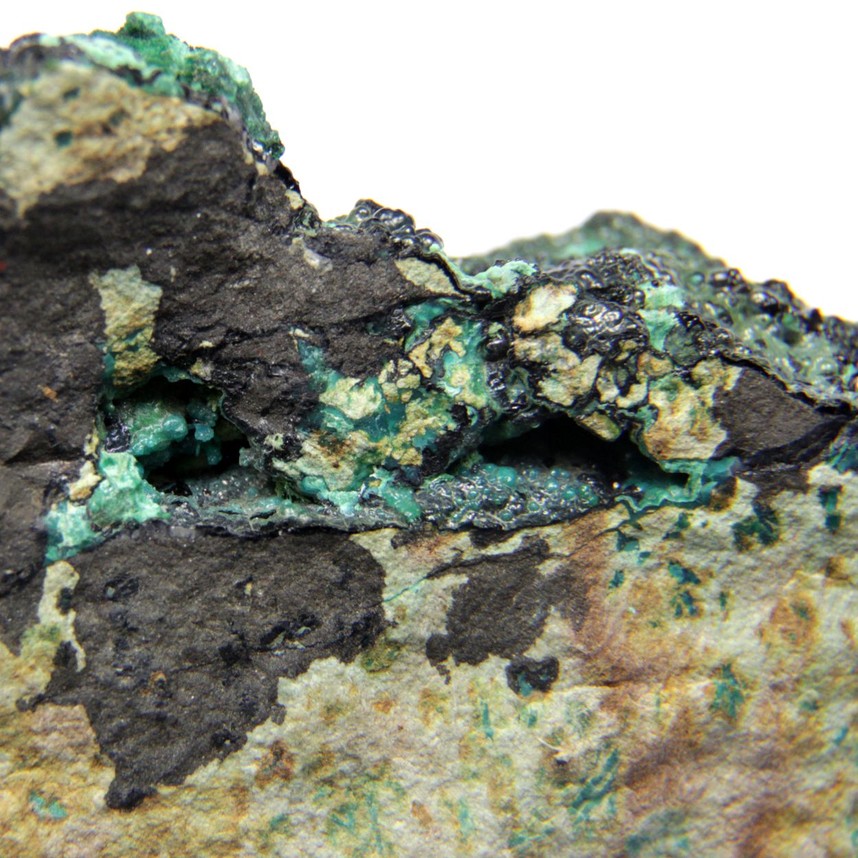 Heterogenite & Chrysocolla