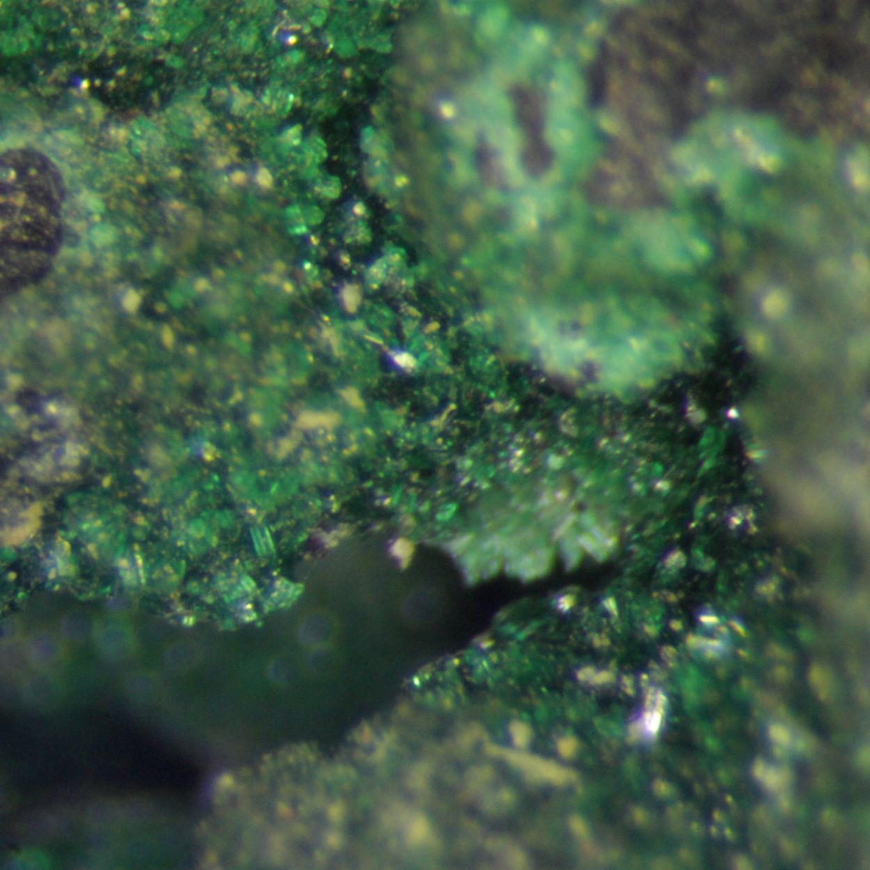 Heterogenite & Malachite