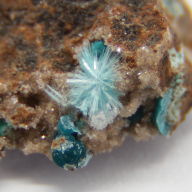 Aurichalcite & Pseudomalachite