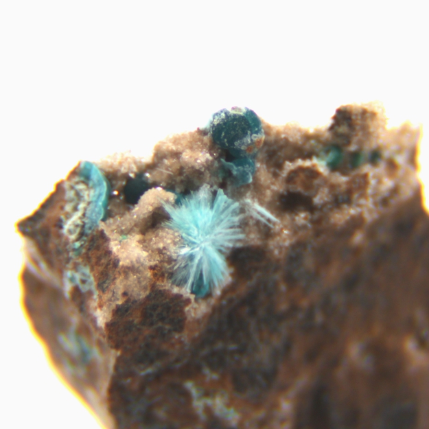 Aurichalcite & Pseudomalachite