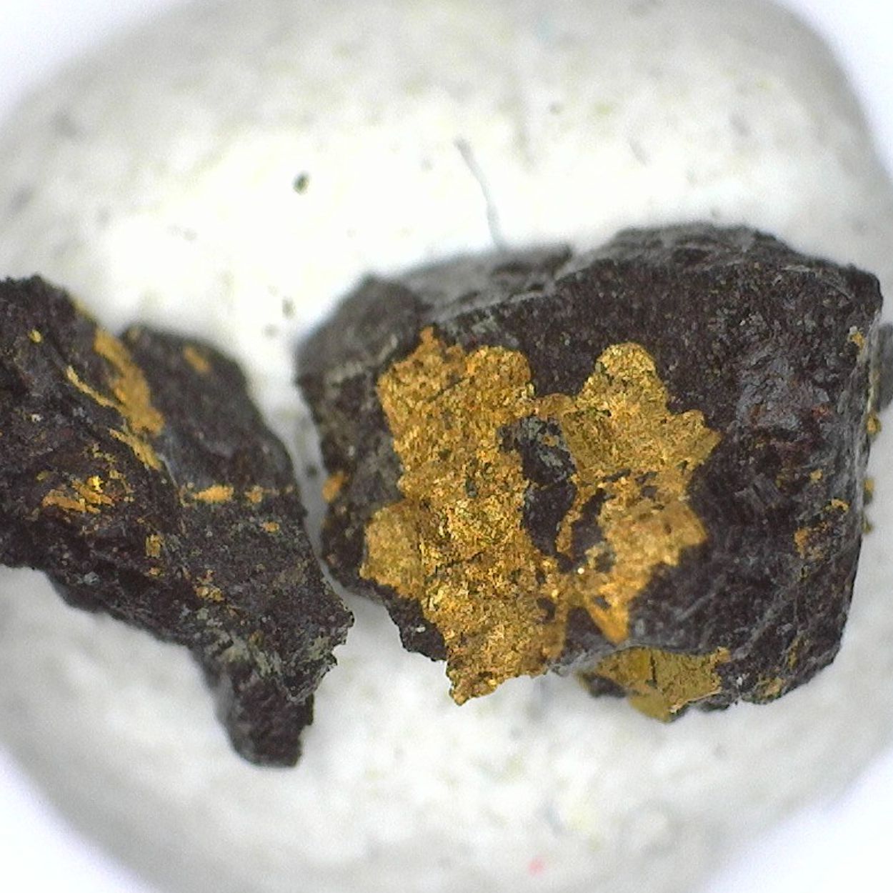 Gold & Uraninite