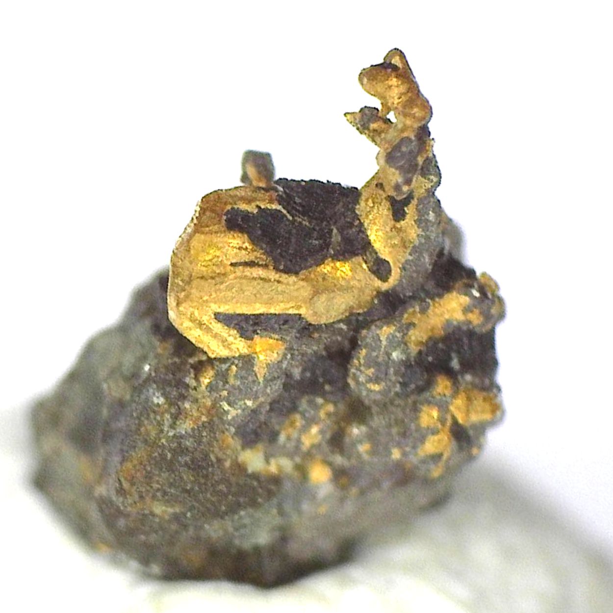 Gold & Uraninite