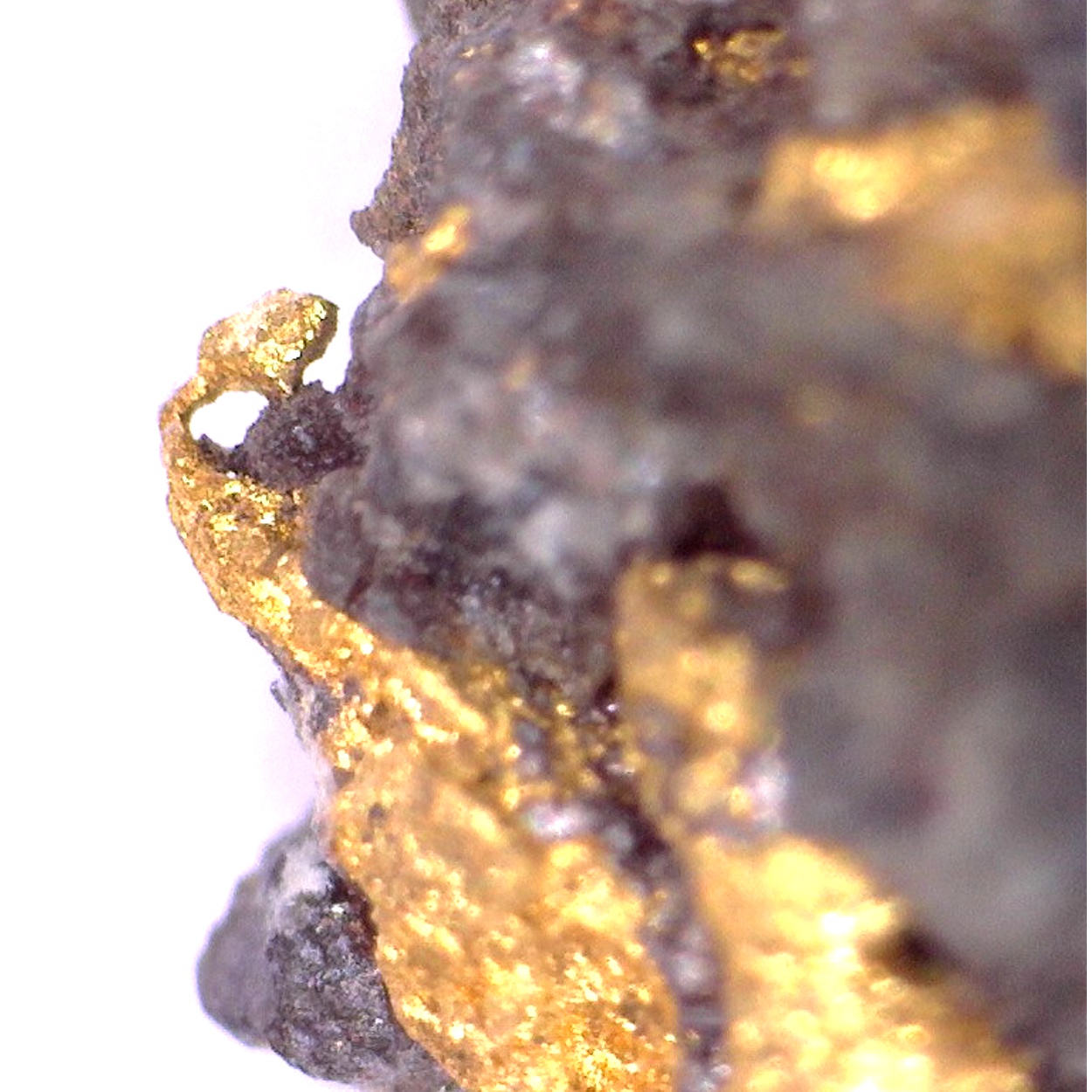 Gold & Uraninite