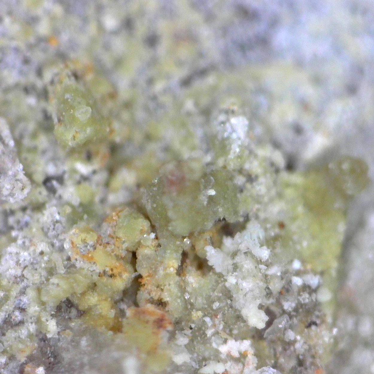 Zinclipscombite & Fluorowardite