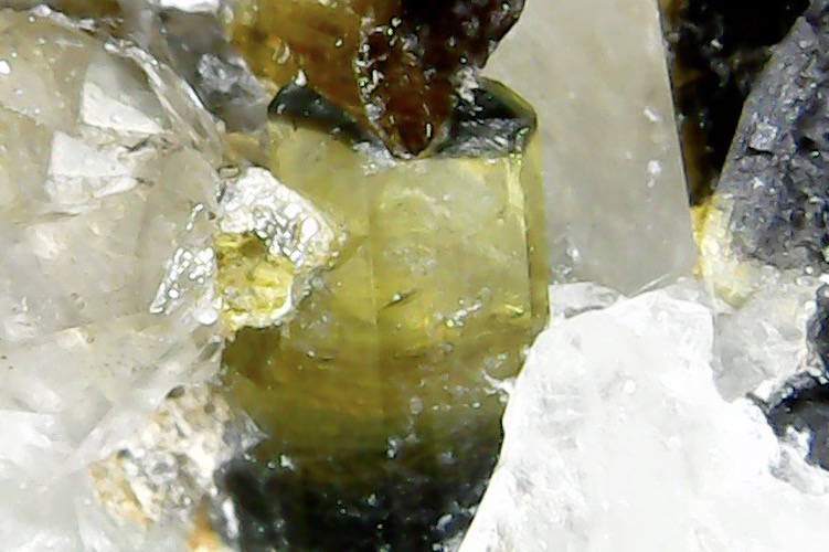 Tourmaline & Quartz