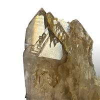 Alligator Quartz
