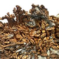 Native Copper