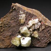 Wardite