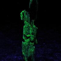 Elpidite