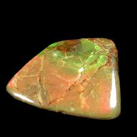 Ammolite