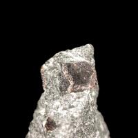 Lomonosovite