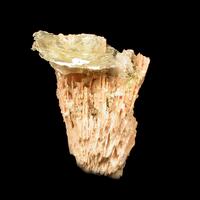 Schizolite & Polylithionite