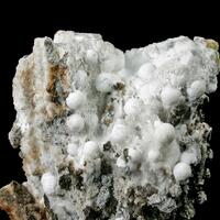 Albite Gonnardite Gobbinsite Chabazite-Na & Natrite