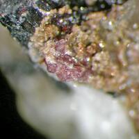Petarasite