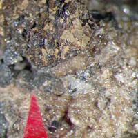 Niocalite & Perovskite