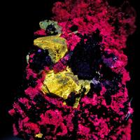 Zircon Annite & Pyrite