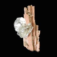 Schizolite & Polylithionite