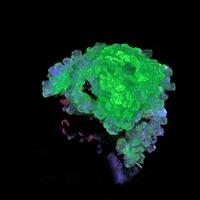 Natrolite