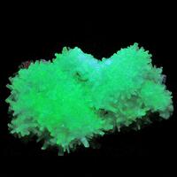 Natrolite