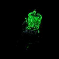 Elpidite