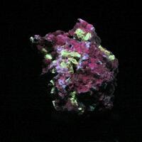 Polylithionite