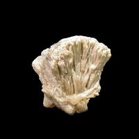 Whiteite