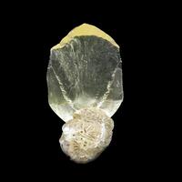 Gypsum