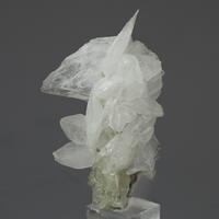 Colemanite