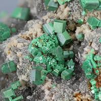 Torbernite