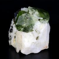 Diopside With Phlogopite