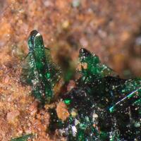 Clinoatacamite